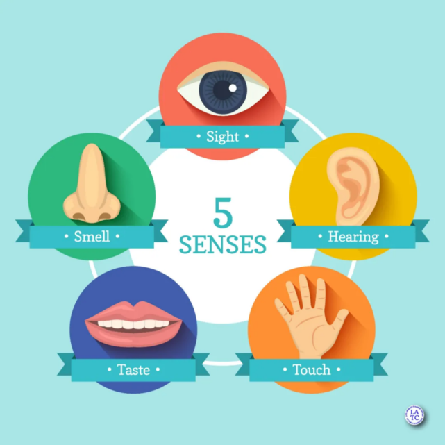 泥巴沙子高级玩法【five senses-2:喉咙声带发音】五感拓展一次玩个够