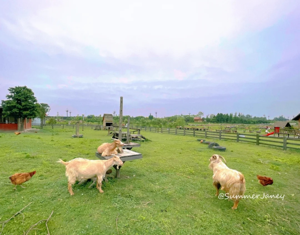 6大秋日必去农场,一起过向往的田园生活_腾讯新闻