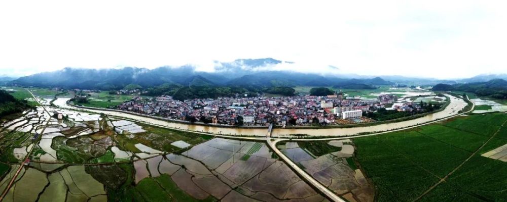 【浦城·景】夏末秋初 绿意正浓