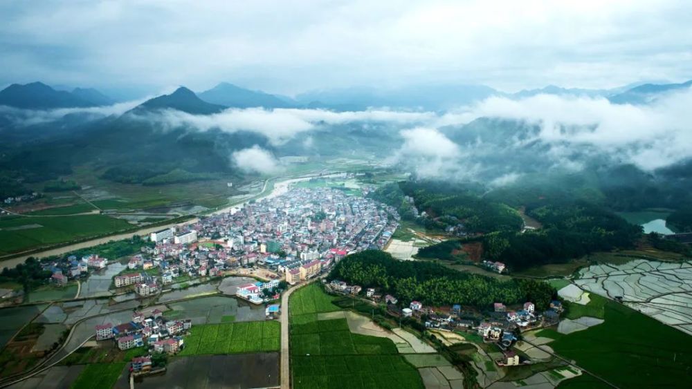 【浦城·景】夏末秋初 绿意正浓