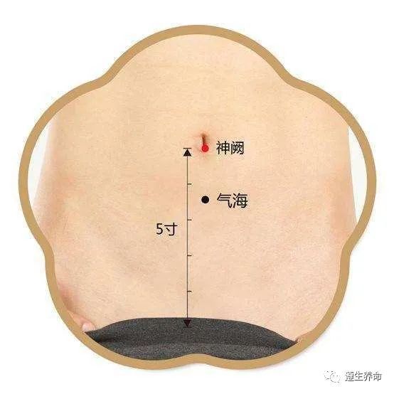 神阙的准确位置图 神阙穴的功效与作用 腾讯新闻