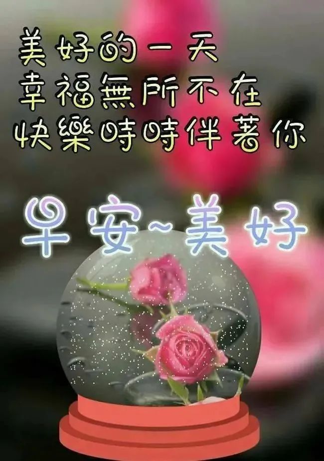 早上好朋友朋友圈很好看的早安祝福問候語最美早上好圖片表情帶字