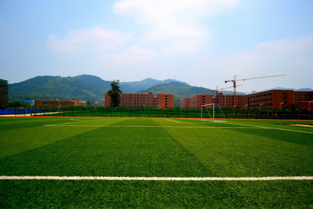 四川一幼师不小心将不雅视频发到班级群,严重影响教师形象遭辞退