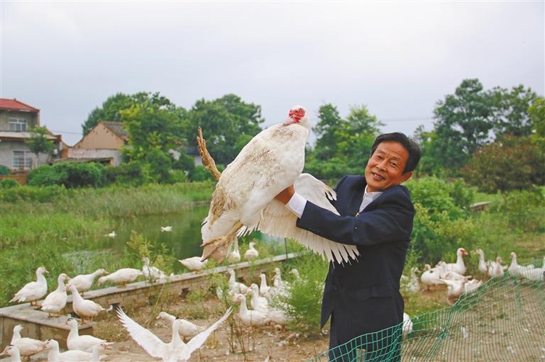 红头雁托起致富梦