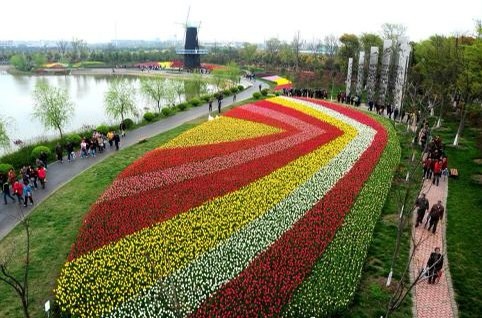 线路推荐:鲜花港书院人家外灶记忆馆南汇嘴观海公园 线路特点:鲜花港