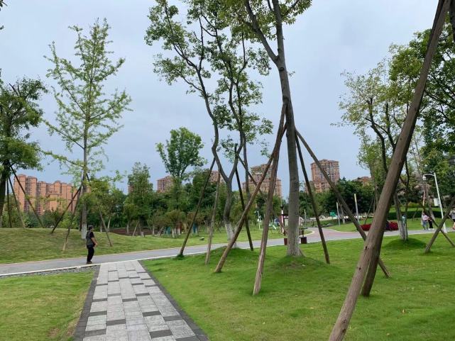 周末闲逛——成华区圣灯公园|圣灯公园|成华区|公园|成都理工大学