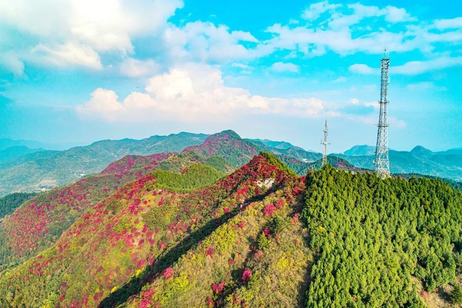 方寸之间看大美十堰郧阳红叶美如画