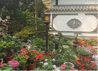在武汉庭院花园设计施工中常用的绿植搭配有哪些