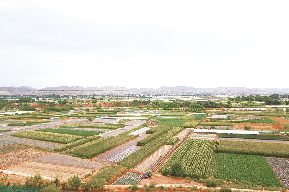 产业兴旺环境美绘就乡村新画卷