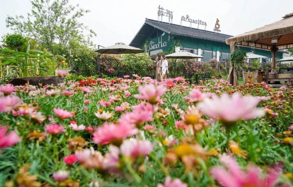 乡村旅游 如何助推