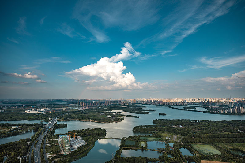 一半是清澈湖水,一半是富氧森林 武汉东西湖植树造林"种"出美好低碳