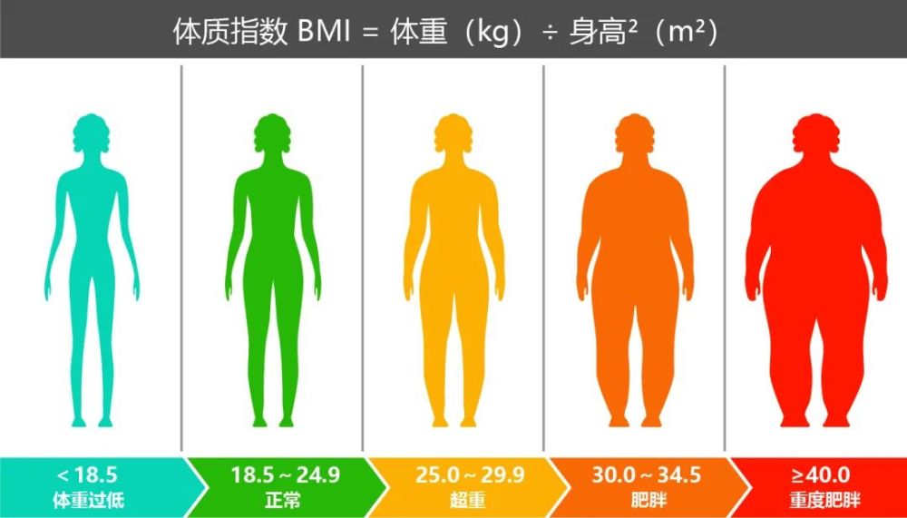 世卫组织规定的 bmi 分类亚洲人体型偏瘦,标准也有所不同