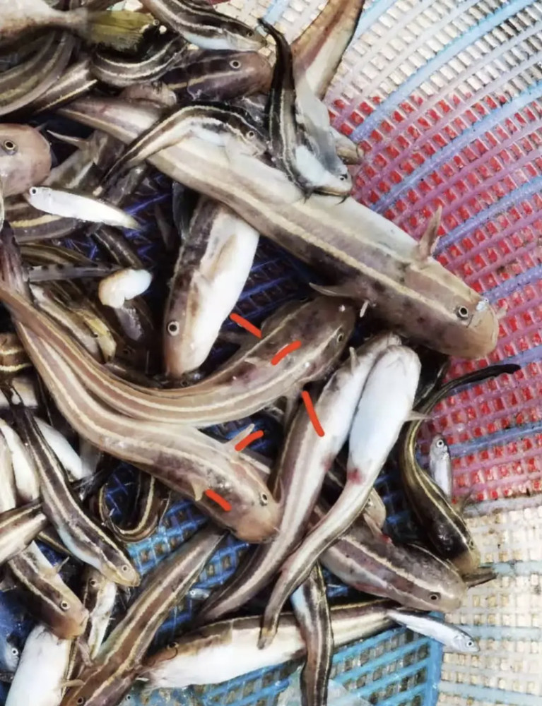 惊险出游(原创)作者:蓝月悠