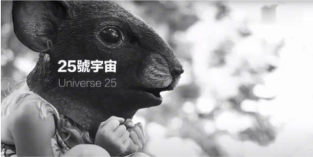 "25号宇宙"实验,科学家用老鼠预测人类未来,结果很"恐怖"