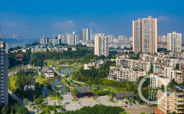 城管局长"晒最美"丨潼南区城市管理局局长李洋述:"潼"心"潼"力扮靓"潼