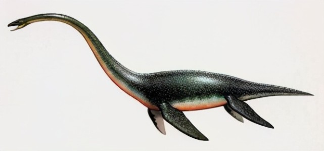 上千人目睹的"尼斯湖水怪",有照片有视频,真是恐龙后代?