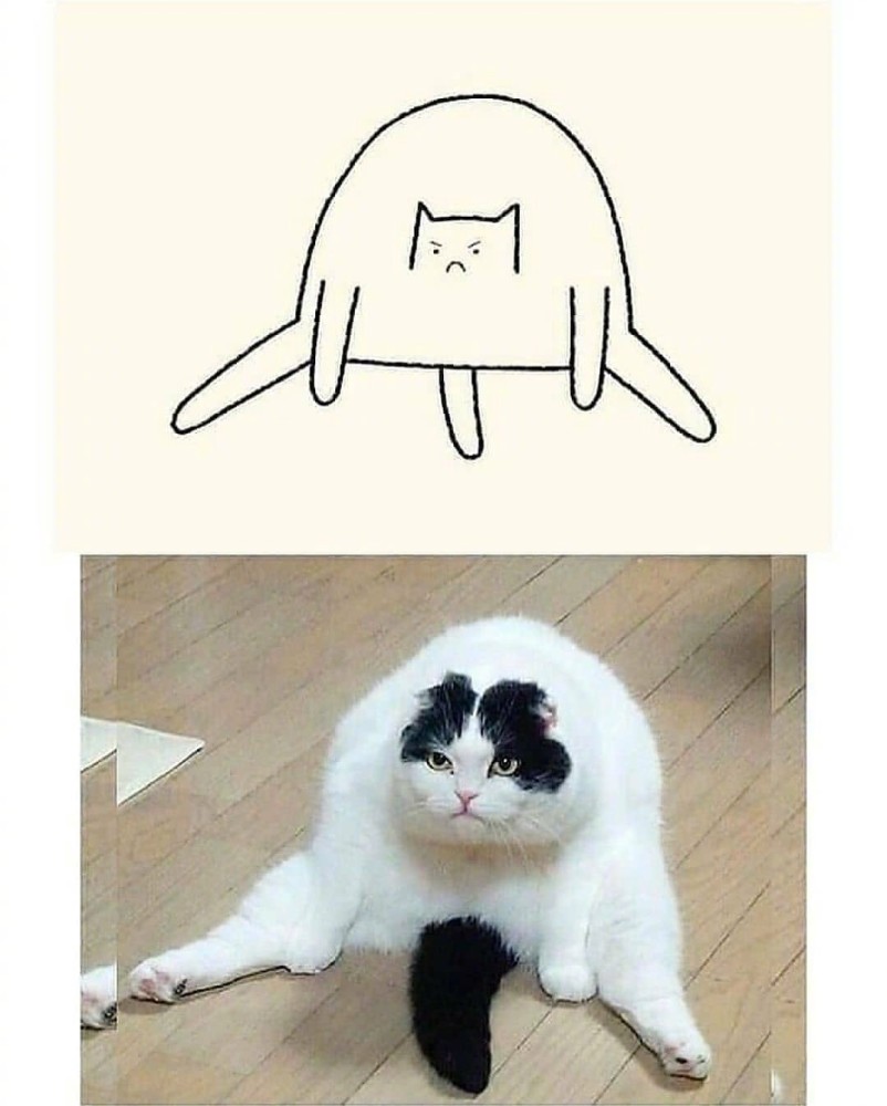 【今日有学●插画】灵魂画手的愚蠢猫图系列,丑萌丑萌的,太沙雕了_腾