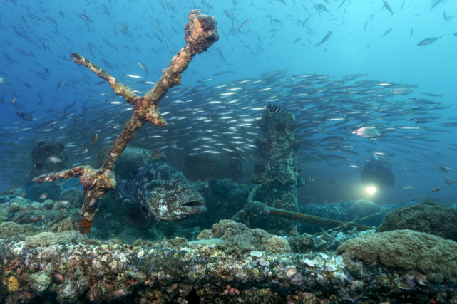 科威特700万个废弃轮胎着火污染物可致癌或致全球生态灾难