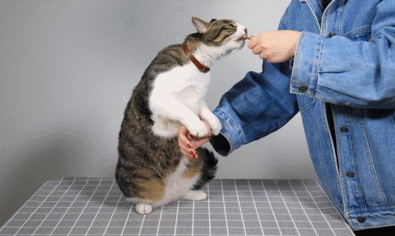 641
