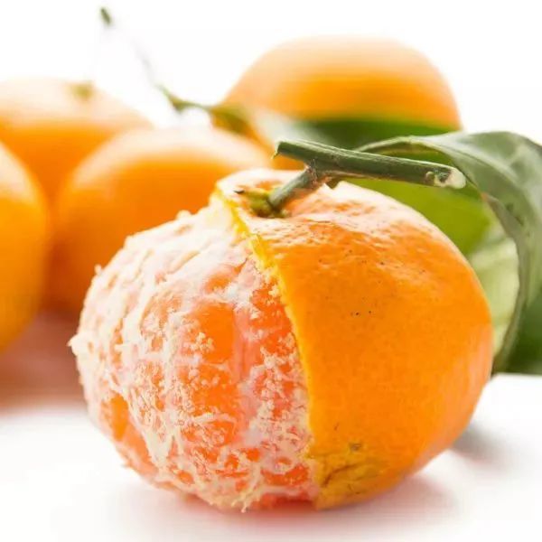 【动植物检疫】关于进口南非鲜食柑橘植物检疫要求的公告解读