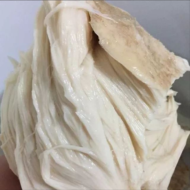 太岁究竟是什么,不属于任何生命形式的"怪肉"?