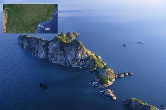 把2只蜜獾放在巴西蛇岛上,4000只黄矛头蝮蛇会成它的盘中餐吗?