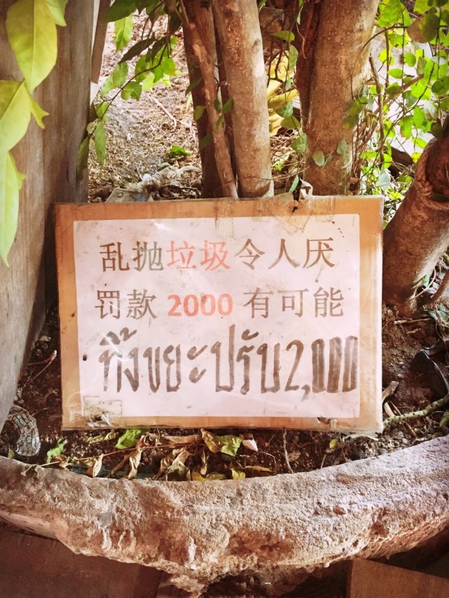 外国街头的"中文标语",让人笑岔气