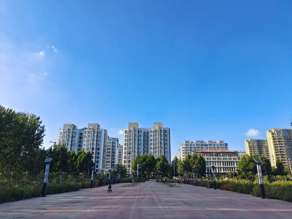 我为群众办实事|朝阳街道以"小切口"实现民生"大变化"