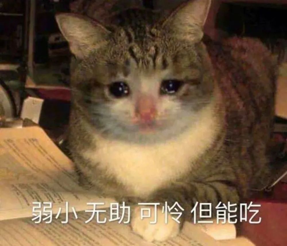 我比较宅,爱吃美食,典型的"弱小,无助,但能吃",你那里有没有好吃的?