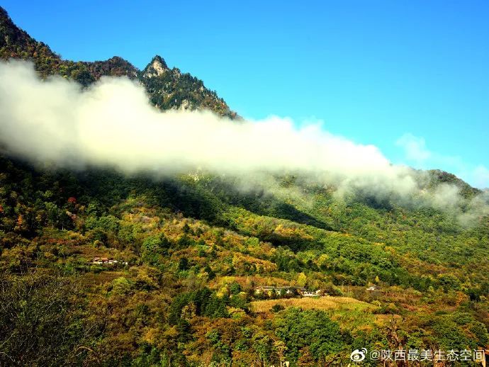 保護區地處秦嶺中段南坡太白縣黃柏塬鎮境內,北依秦嶺主脊,南靠興隆嶺