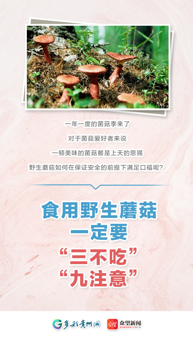【海报】食用野生蘑菇,一定要"三不吃九注意"