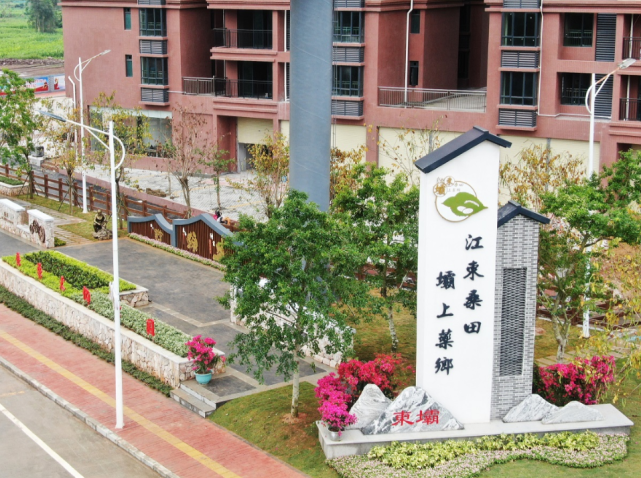 郁南县东坝镇:下好"三步棋" 推动大发展