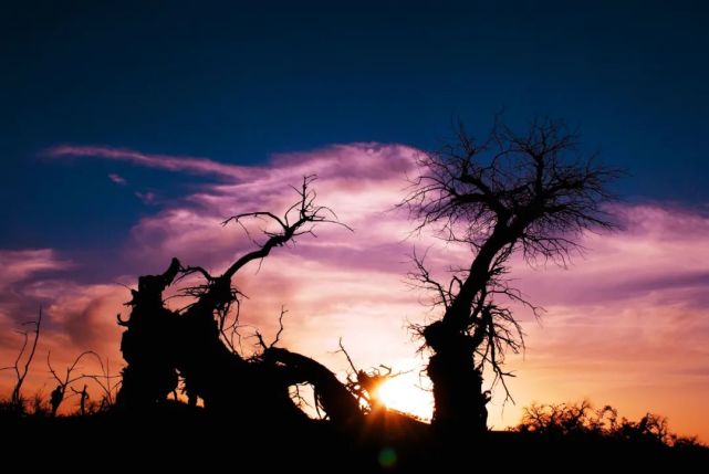 "环西部火车游"全新logo正式发布!