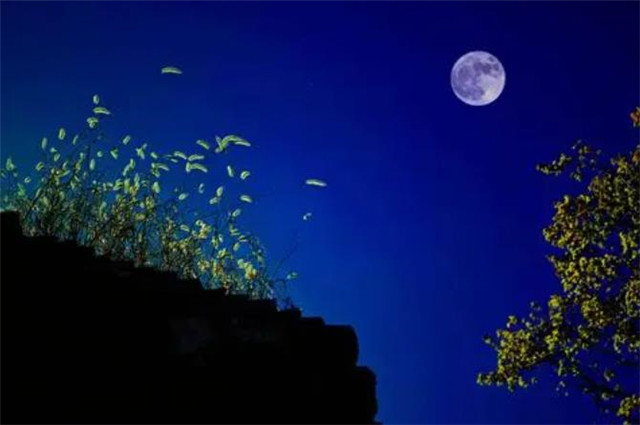 三首宋词《渔家傲》,写了仲秋秋色之美,和明月中秋的思乡情怀