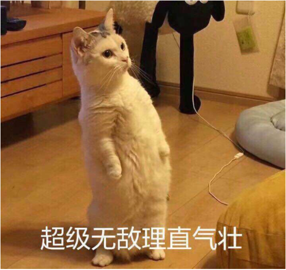 了几个 他们家乡的 特色地标 小图仔细研究了一番之后 敢拍胸脯保证