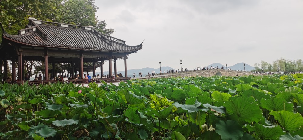 第一視角帶你看看杭州本地人怎麼逛西湖斷橋公園