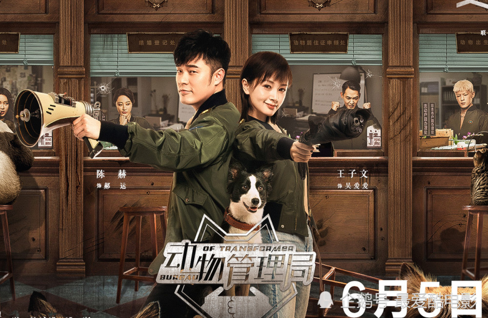 动物管理局熟肉已完结免费完整超清播放中字已更新迅雷bt1250p中英