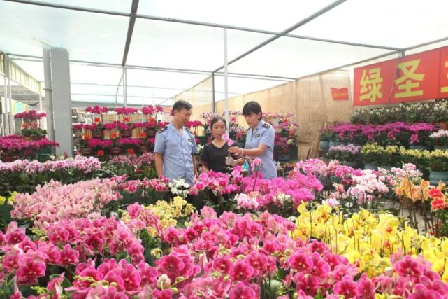 潍坊青州花卉基地品牌价值蝉联全省第一!
