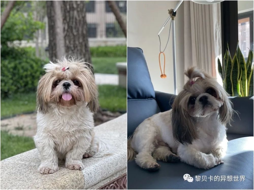 考中級消防證都在優(yōu)雅女性真的中在線年態(tài)入愛樂奇英語教材怎么樣