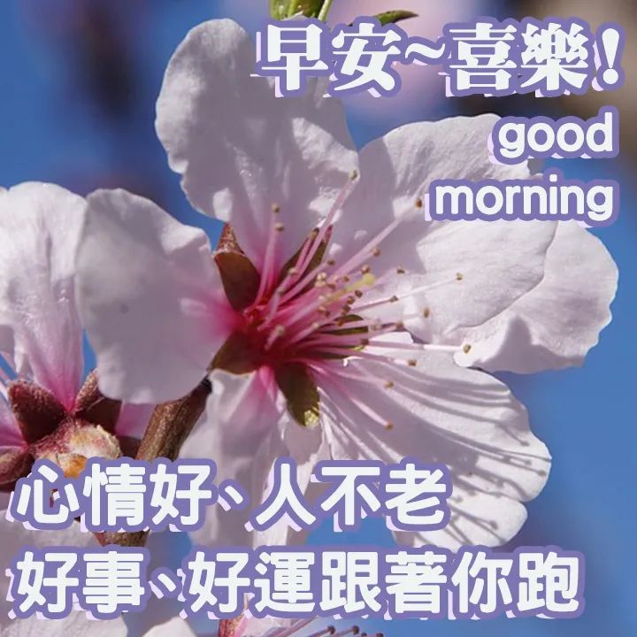 早上好的最佳图片2021 早上好问候语图片大全 朋友早上好祝福语