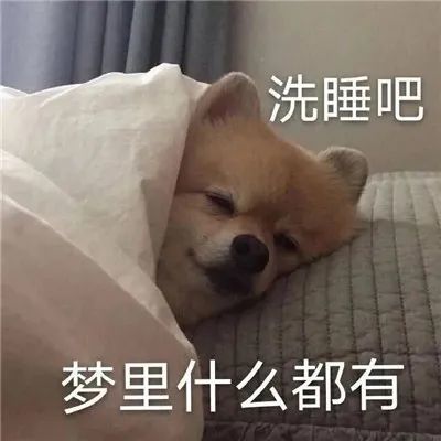 人间小苦瓜有趣表情合集