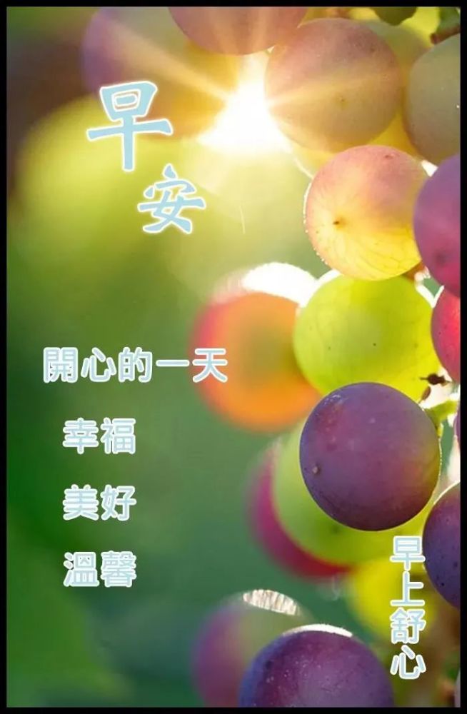 9月9日,早上好!数不完的是我无限的祝愿.愿你好花常开,好运常来