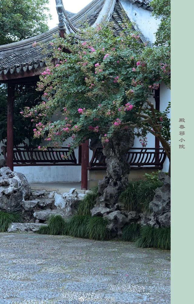 网师园殿春簃小院