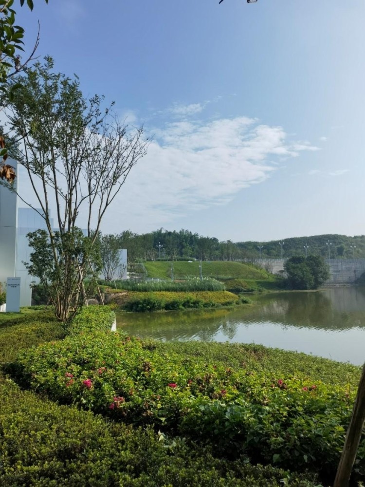 就在这时节里,位于重庆高新区金凤镇的凤鸣湖公园首开区也初现雏形