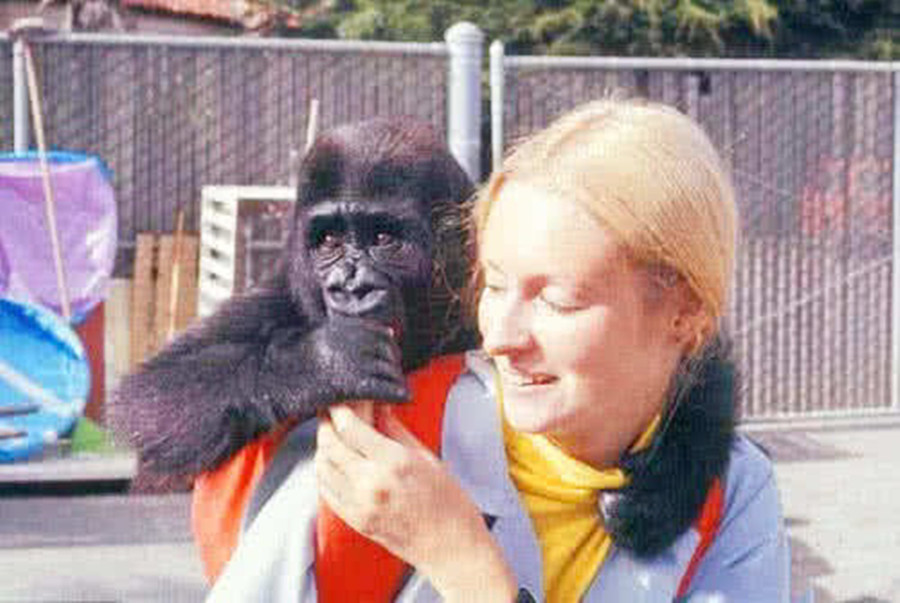 比利时女子声称爱上黑猩猩人和猩猩在一起到底能否生育后代