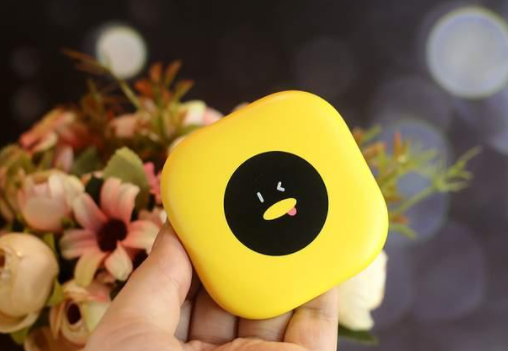 充电宝销量排行榜_最新!2021年移动电源(充电宝)品牌排行榜前10名单曝光