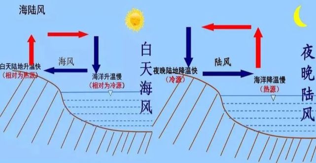 海陆风示意图结论 白天风从海洋吹向陆地夜间风从陆地吹向海洋所以当