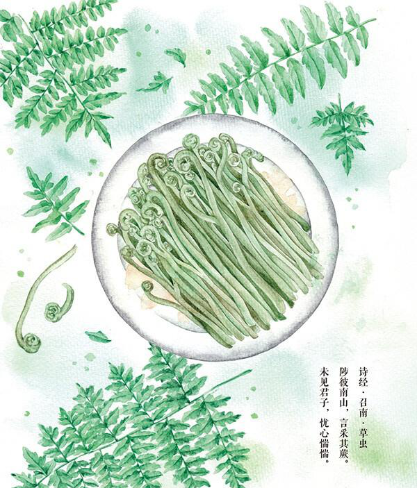 舌尖上的诗词诗人们都喜欢吃什么菜白居易吃完笋后就不思肉了