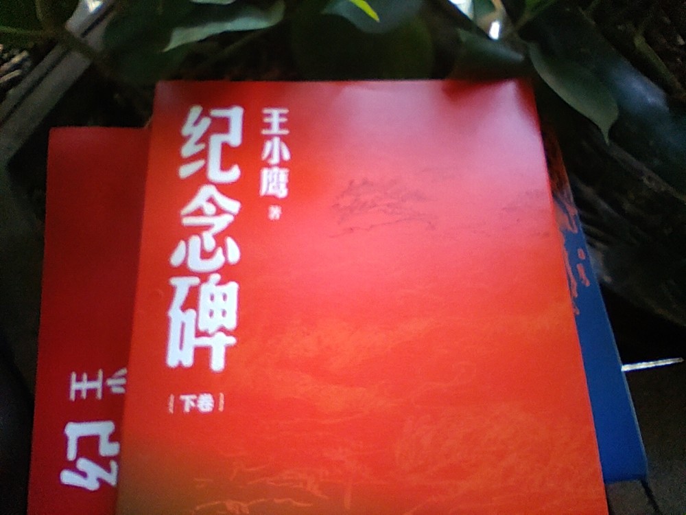 对这一部可以说倾注了母女两代人心血的作品,王小鹰说:" 《纪念碑》是
