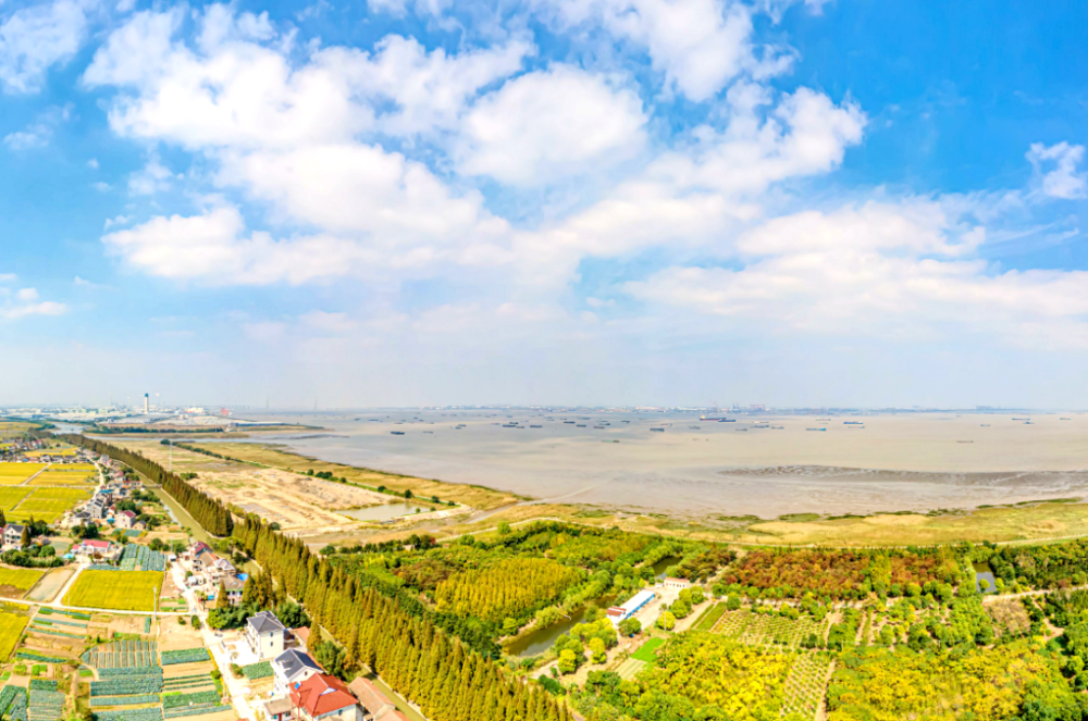 太仓这个湿地秘境c位出道